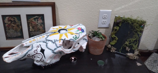 'El Paso' Cow Skull